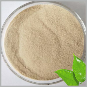 Amino Acid