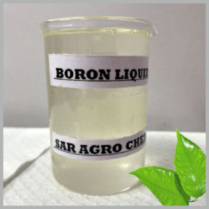 Boron Liquid