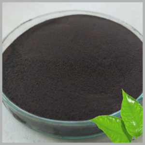 Seaweed Extract Powders