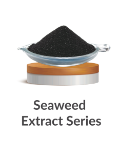 Seaweed-Extract-Seris